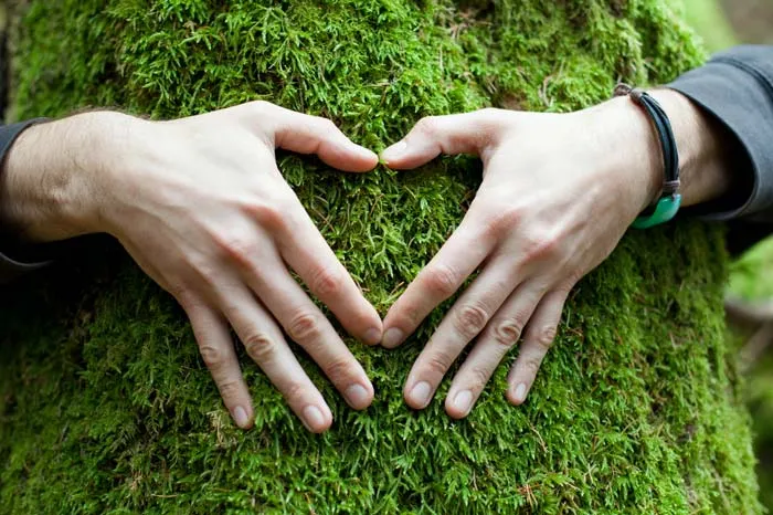 Personne qui forme un cœur avec ses mains sur un arbre