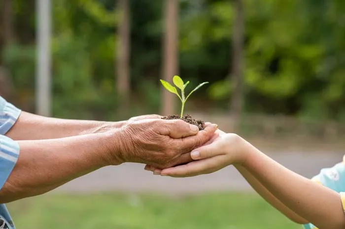 Une personne âgée donne une pousse d'arbre à un petit garçon